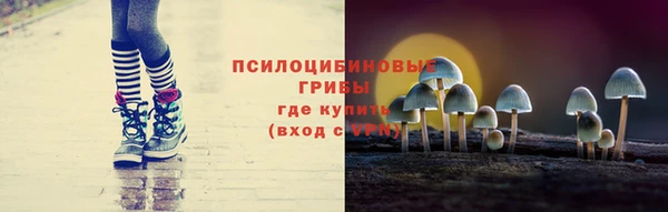 бошки Зеленодольск