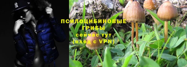 бошки Зеленодольск