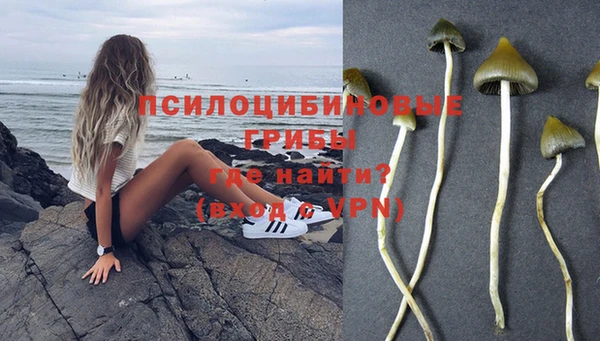 альфа пвп Зеленокумск