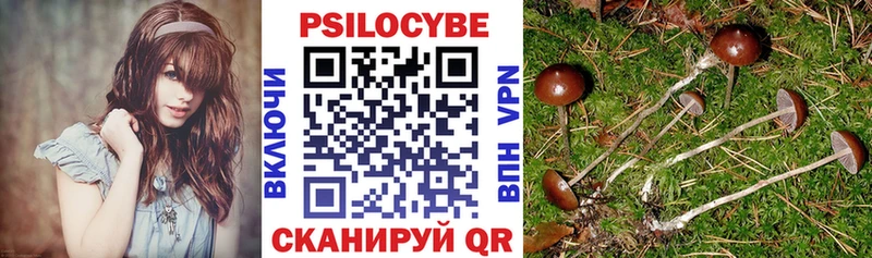 Галлюциногенные грибы Psilocybine cubensis  Купить  Пестово 